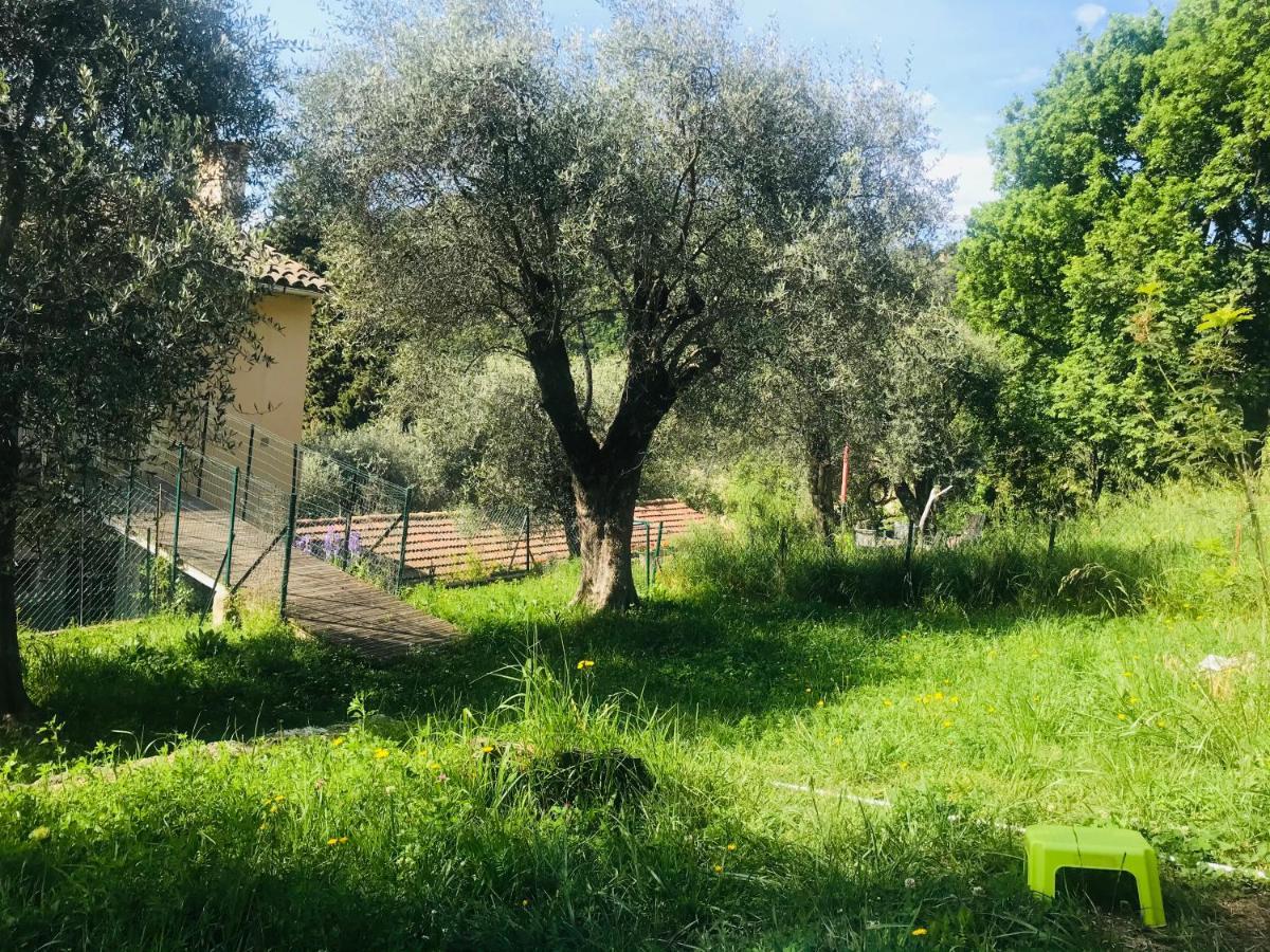 Residence Lou Naouc Grasse Dış mekan fotoğraf