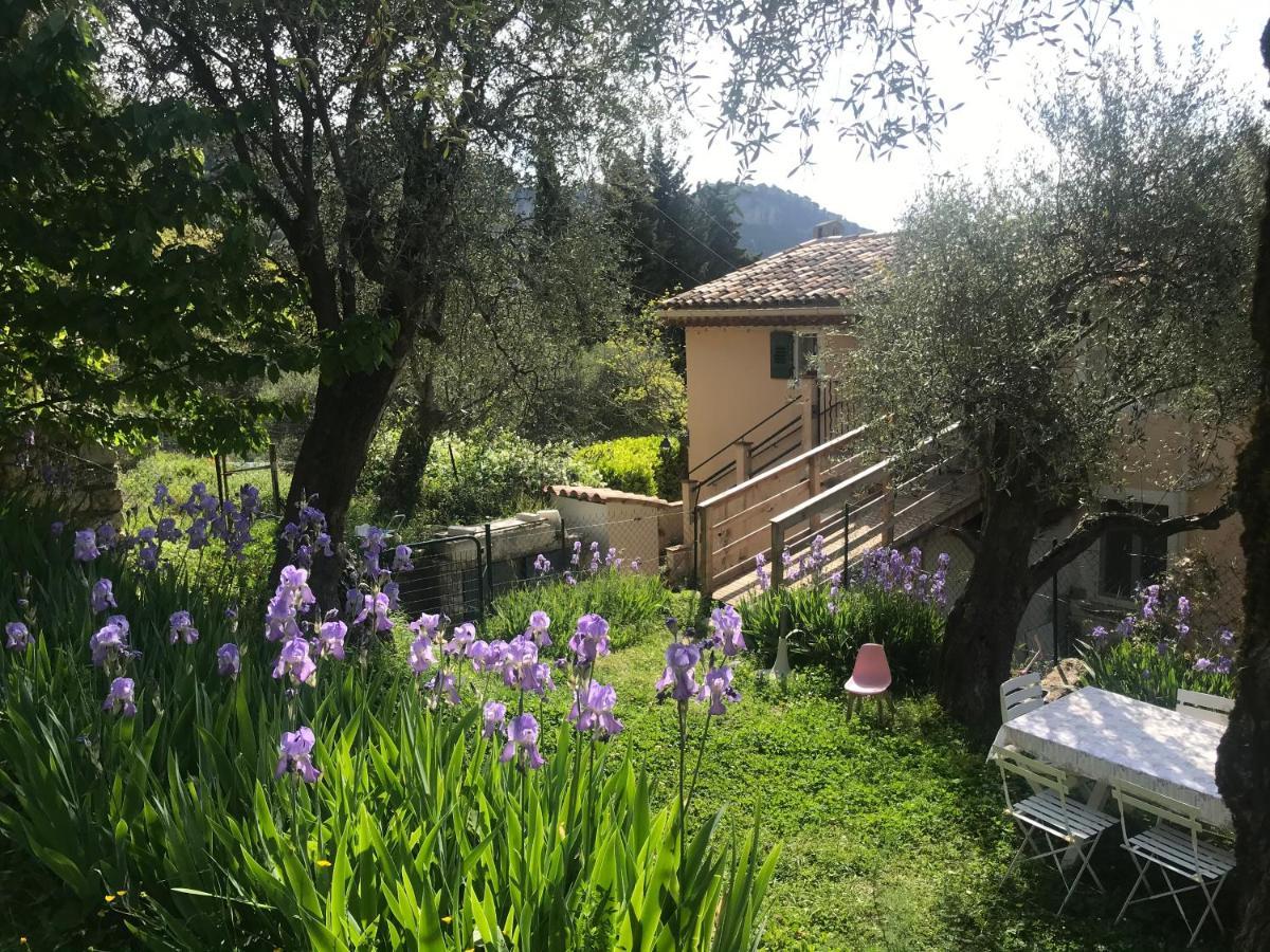 Residence Lou Naouc Grasse Dış mekan fotoğraf