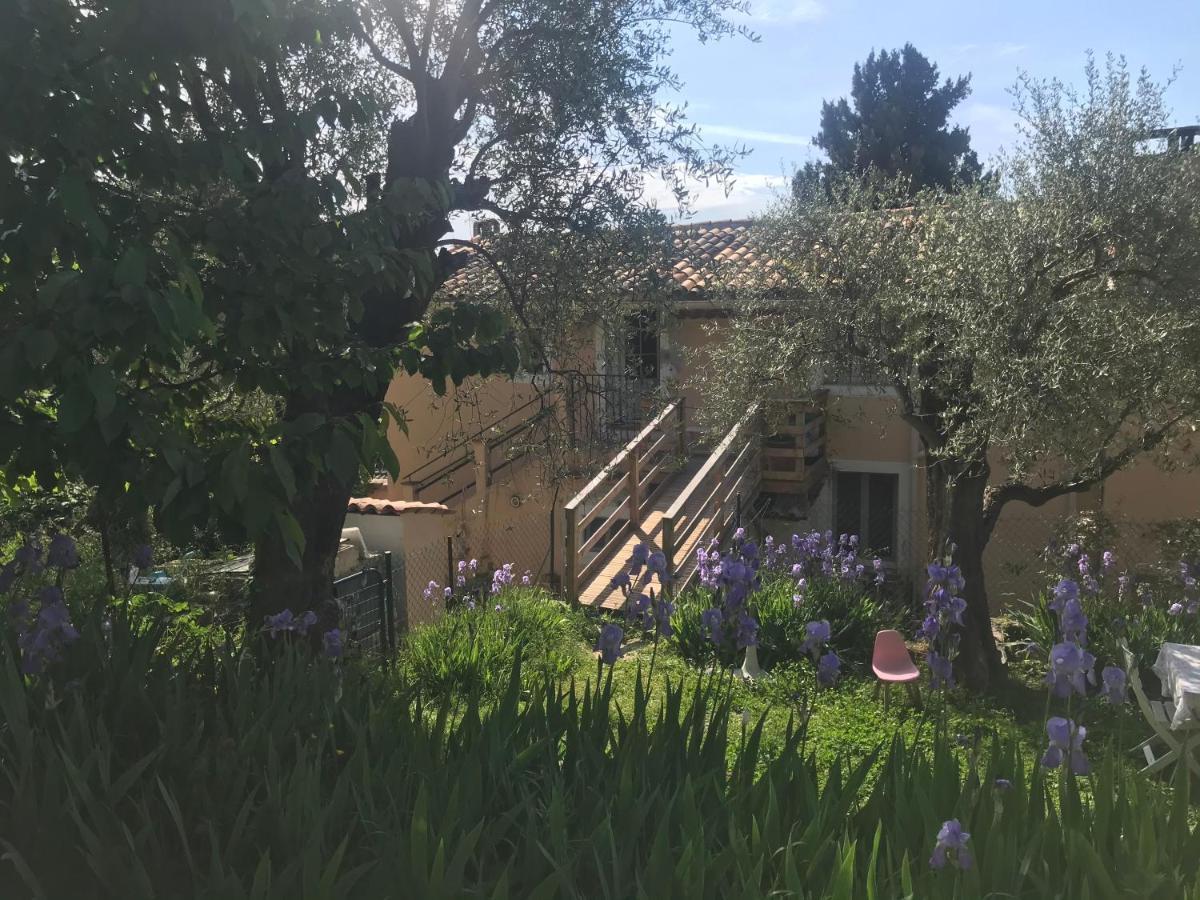 Residence Lou Naouc Grasse Dış mekan fotoğraf