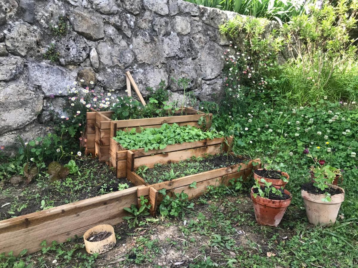 Residence Lou Naouc Grasse Dış mekan fotoğraf