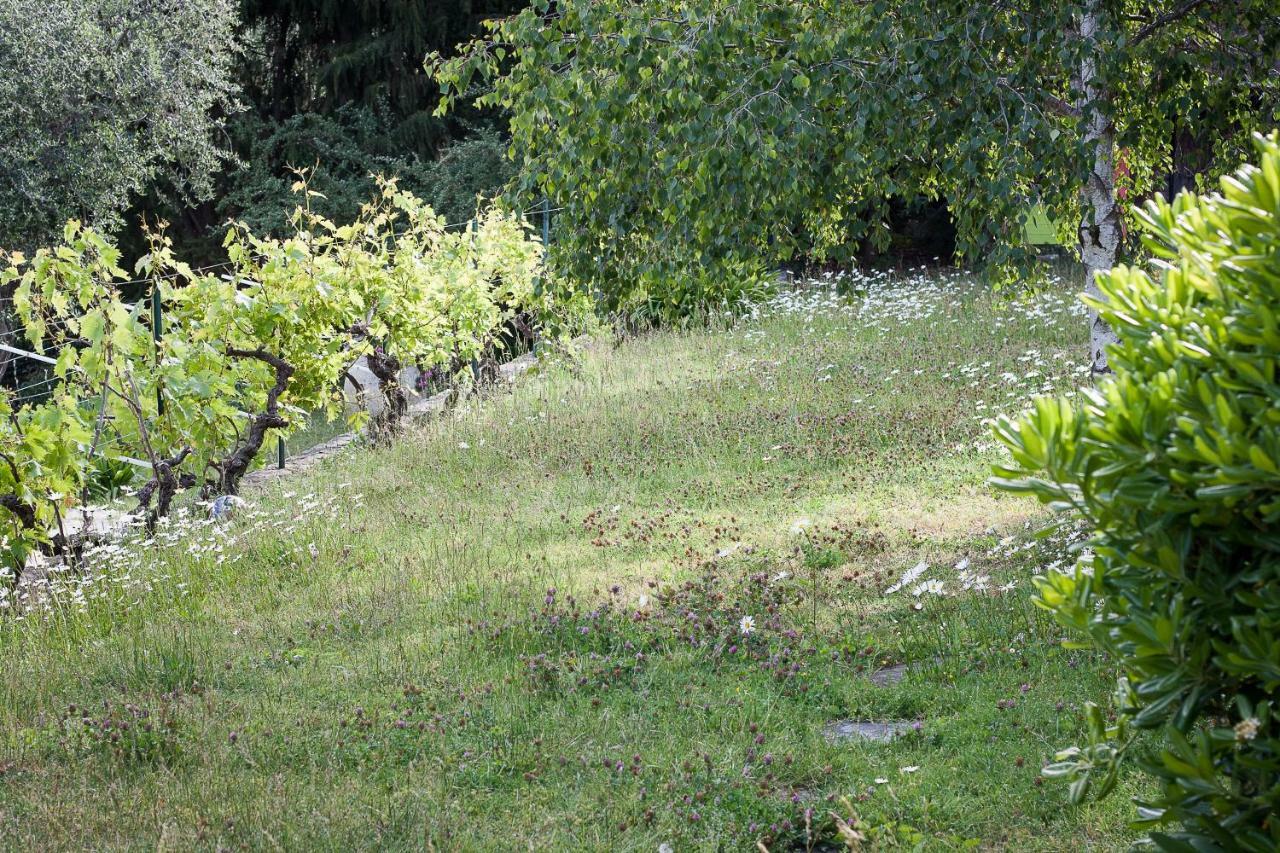 Residence Lou Naouc Grasse Dış mekan fotoğraf